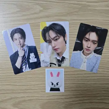 SKZ TOY WORLD 리노 세트