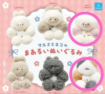 말미미 고양이의 동그란 봉제 인형