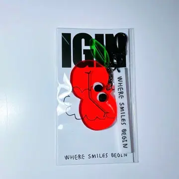 IGINI 아크릴 키링 jin