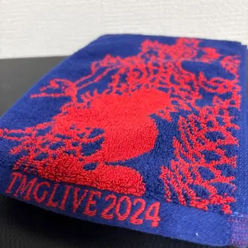 TMG LIVE 2024StillDodgingTheBullet 루프 타월