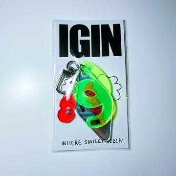 IGIN 아크릴 키링 IGIN jin bts 아이긴 POPUP