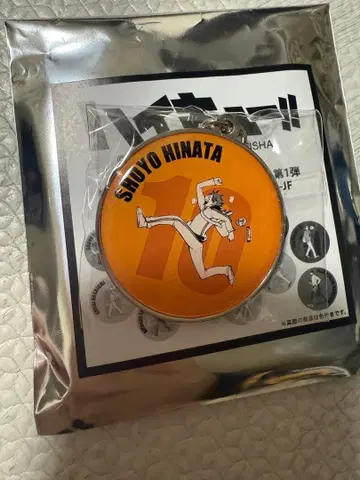 하이큐 RUN 메탈 키링 히나타 쇼요