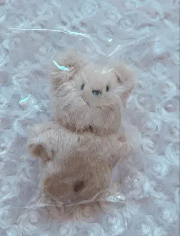 Olivet 키링 곰 올리벳 키체인