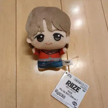 RIIZE Fly Up SD 인형 vol.1 쇼타로