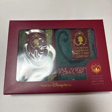 도쿄디즈니씨 겨울왕국 엘사 안나 미니 타월 2개 세트