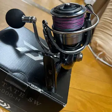 Daiwa 21CERTATE SW 6000H