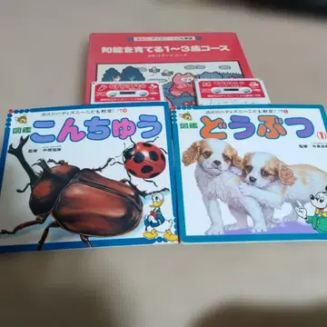 디즈니 어린이 교실