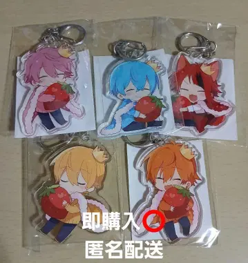 [ 익명 배송 ] 스토푸리 아크링 키링 summer prince B