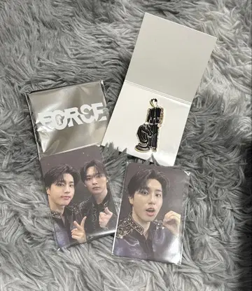 Stray Kids FORCE 시즌 그리 된장 한