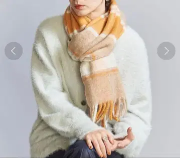 소프트 체크 스톨