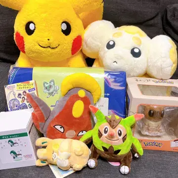 피카피카 박스 2026