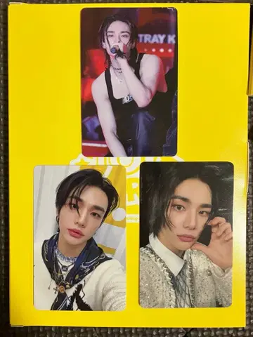 스키즈 TOYWORLD 현진