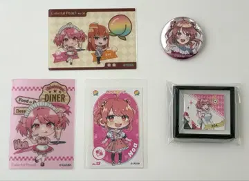 컬러풀 피치 노아님 묶음 판매 카라피치