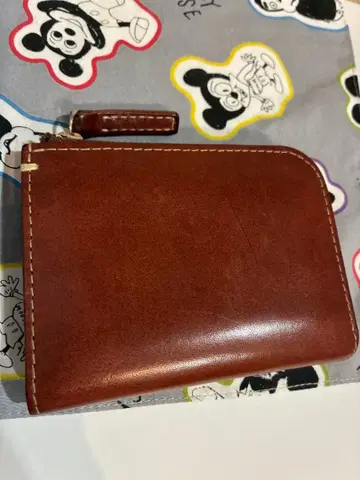 디어리오 핸디 L 지퍼 컴팩트 지갑 츠치야 가방