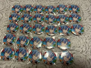 크로노바 샤를로 캔뱃지 28개