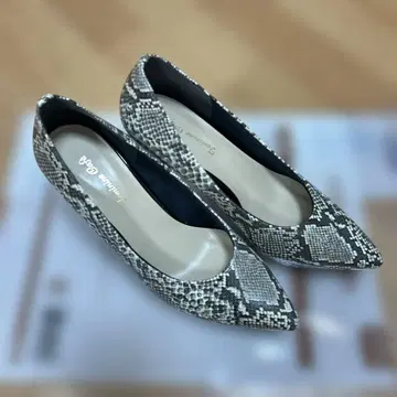Feminine Cafe 스네이크 패턴 하이힐 24.0cm