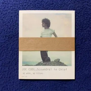 Dragon Ash Buzz Clips 포토 카드 세트 초회 봉입 특전