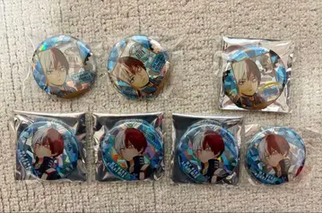 히로아카 토도로키 홀로캔