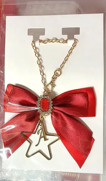 아마츠키 리본 참 무도관