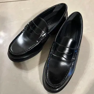 G.T.HAWKINS. 남성용 로퍼 ENTRY 25.5cm EEE