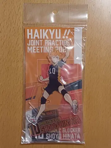 하이큐!! 합동 연습회 2022 아크릴 스탠드 히나타 쇼요