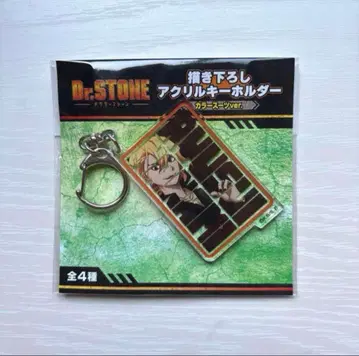 Dr.STONE 닥터스톤 나나미 류스이 아크릴 키링 한정판