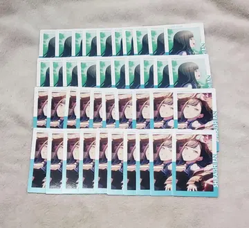 프로세카 에피카 시라이시 안