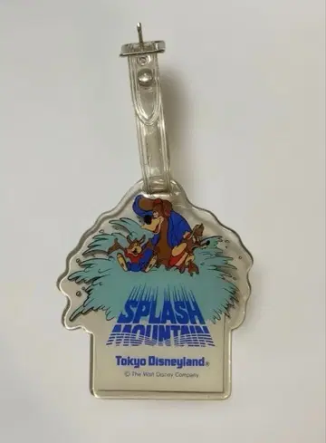 도쿄 디즈니랜드 스플래쉬 마운틴 러기지 택 레어 상품