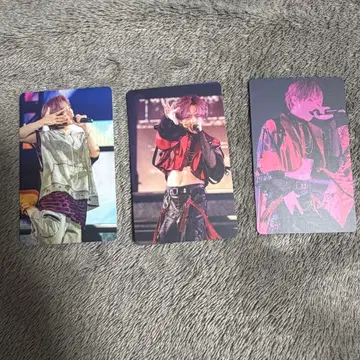 우라시마사카타센 WARN12G 미니 포토 카드 우라타누키 컴플리트 세트