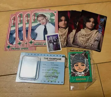 THE RAMPAGE 이와타니 쇼고 굿즈 4종 9점 세트 덤 포함