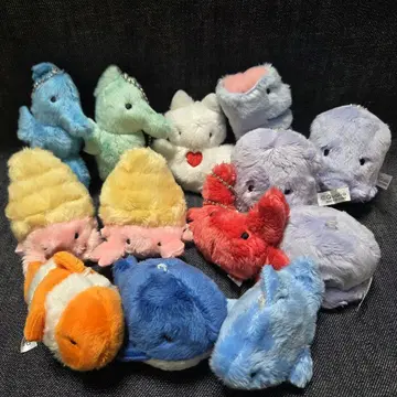 Qualia 복슬복슬 봉제 인형 묶음 판매