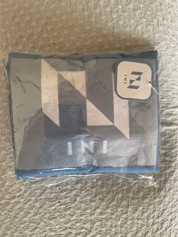 INI 파랑 파우치