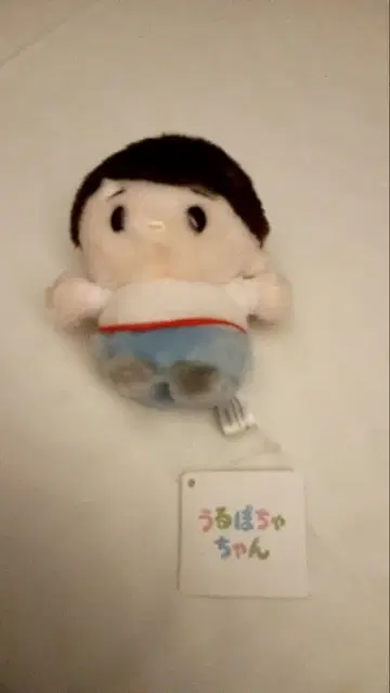 우르포차 에릭 우르포차짱 아리엘