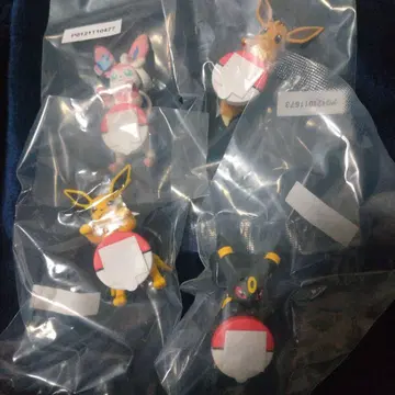 2025 포켓몬 컬렉션 1번 복권