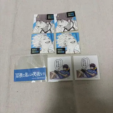 하이큐 카모메다이