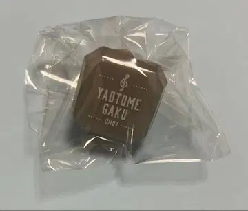 아이나나 링 라이트 라쿠 2