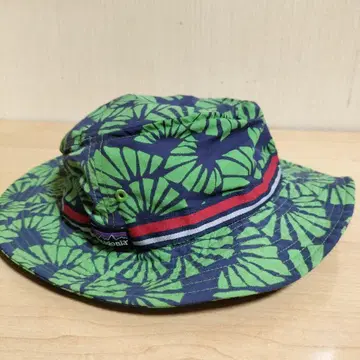 파타고니아 patagonia 햇 잎 패턴 레어 컬러