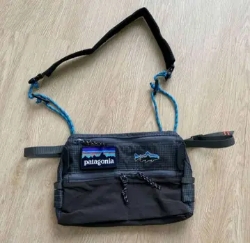 patagonia의 사코슈 백