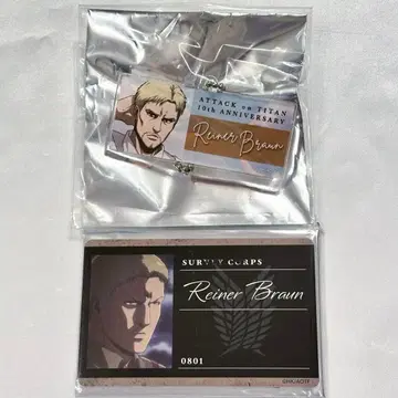 진격의 거인 라이너 2점