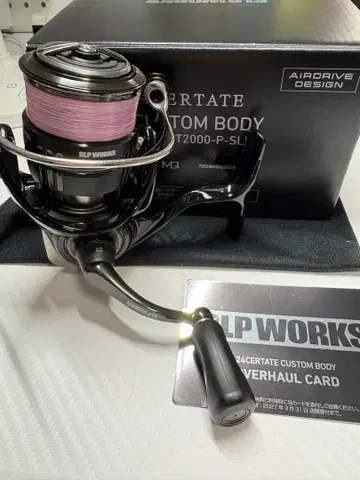 새상품급 24 셀테이트 커스텀 바디 stfc lt2000-p-SLPW