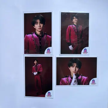 초특급 하루 2025 에비라이 브로마이드 컴프