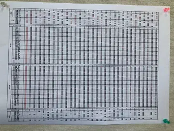 스티프 그래픽 패턴 반팔 셔츠(OCEAN BLACK)