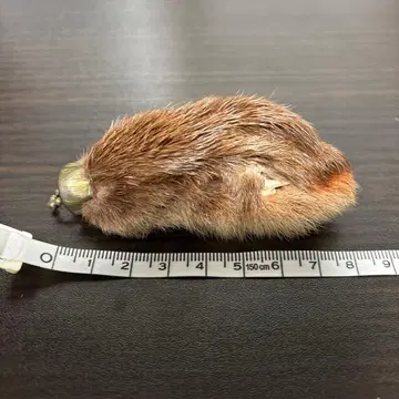 USA제 빈티지 토끼 발 럭키 참