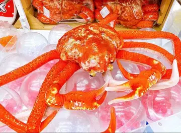 게 초 리얼 BIG 봉제 인형