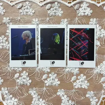 와타나베 다이세이 폴라로이드풍 카드