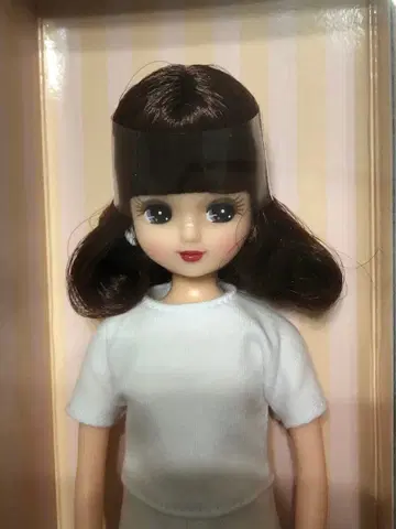 리카짱 캐슬 고베 산노미야 아이콘 모델 리카짱 2022 미개봉 새상품