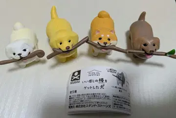 기분 좋은 막대기를 겟한 개 시바견 골든 페키니즈 닥스훈트