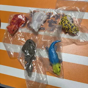 테노리 프렌즈 아구아티스 도마뱀 레오파 등 5마리