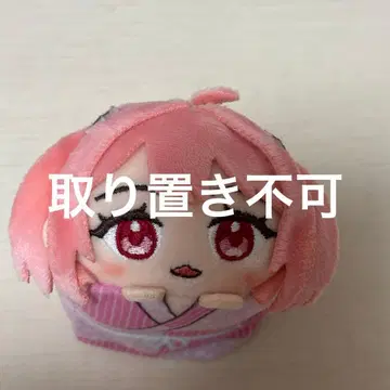 컬러풀 피치 카라피치 모치코로링 노아