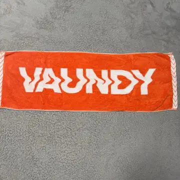 Vaundy 타월 오렌지